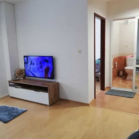 тити * 팜포로보